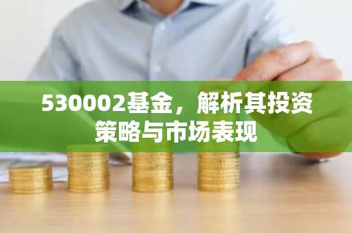 530002基金，解析其投资策略与市场表现