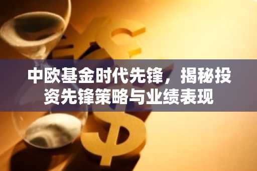 中欧基金时代先锋，揭秘投资先锋策略与业绩表现