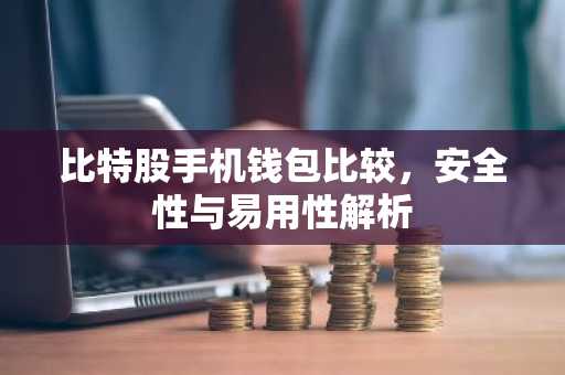 比特股手机钱包比较,安全性与易用性解析