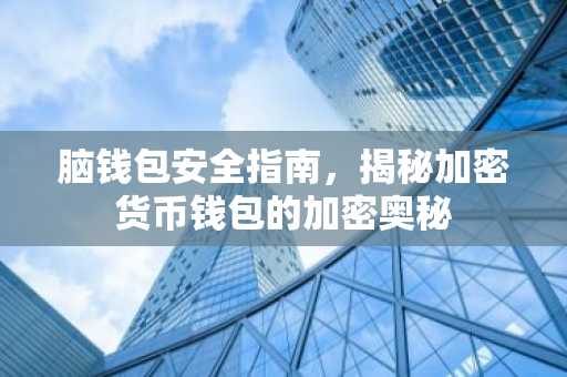 脑钱包安全指南，揭秘加密货币钱包的加密奥秘