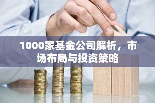 1000家基金公司解析,市场布局与投资策略