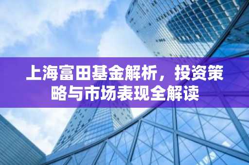 上海富田基金解析,投资策略与市场表现全解读