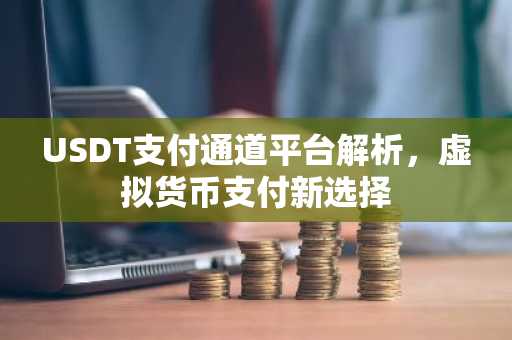 USDT支付通道平台解析,虚拟货币支付新选择