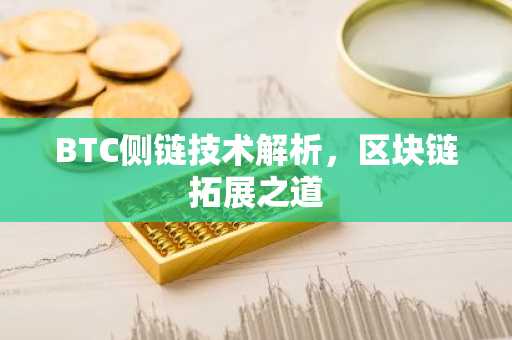 BTC侧链技术解析，区块链拓展之道