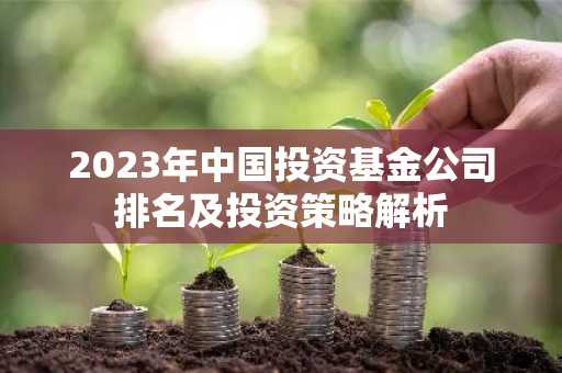 2023年中国投资基金公司排名及投资策略解析