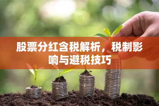 股票分红含税解析，税制影响与避税技巧