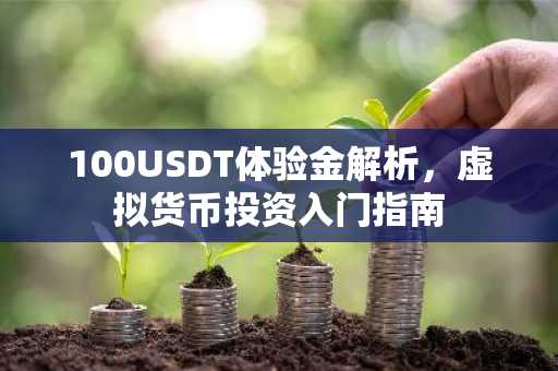 100USDT体验金解析，虚拟货币投资入门指南