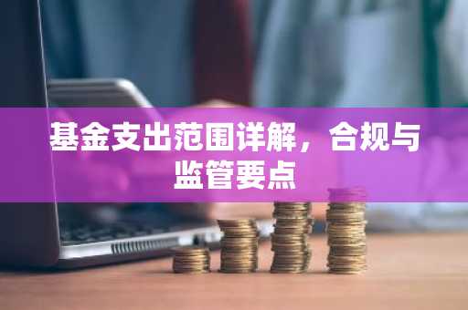 基金支出范围详解，合规与监管要点