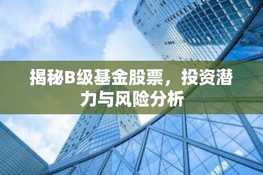 揭秘B级基金股票,投资潜力与风险分析