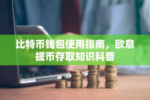 比特币钱包使用指南，欧意提币存取知识科普