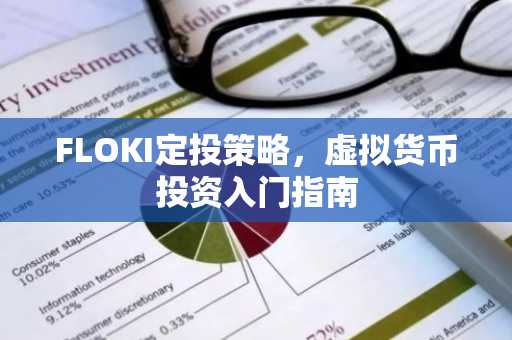 FLOKI定投策略,虚拟货币投资入门指南