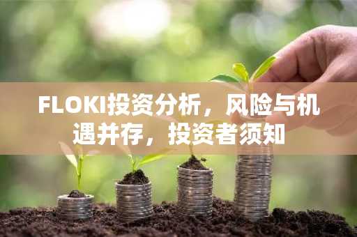 FLOKI投资分析，风险与机遇并存，投资者须知