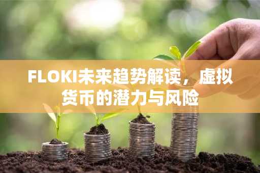 FLOKI未来趋势解读，虚拟货币的潜力与风险