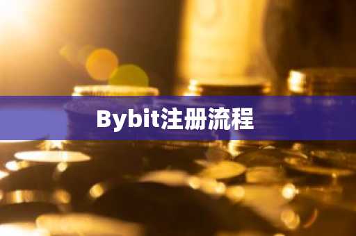 Bybit注册流程