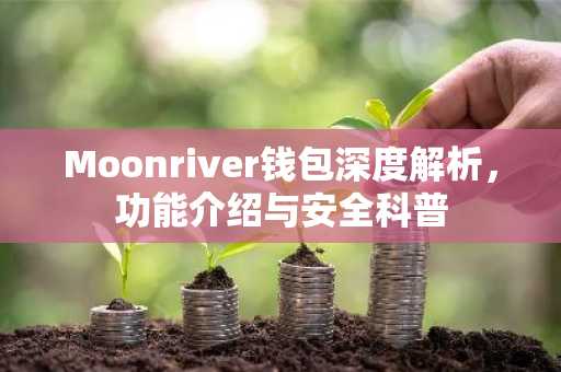 Moonriver钱包深度解析，功能介绍与安全科普