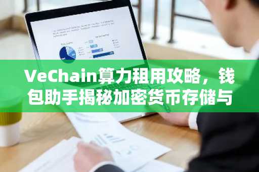 VeChain算力租用攻略，钱包助手揭秘加密货币存储与交易技巧