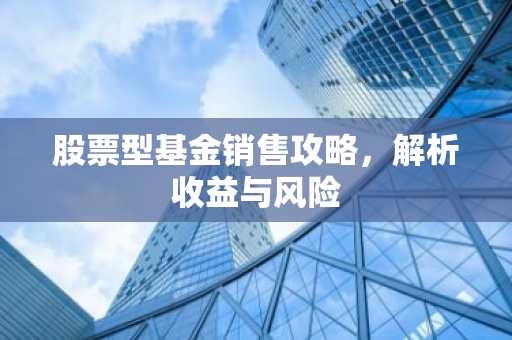 股票型基金销售攻略，解析收益与风险
