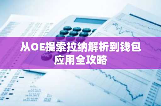 从OE提索拉纳解析到钱包应用全攻略