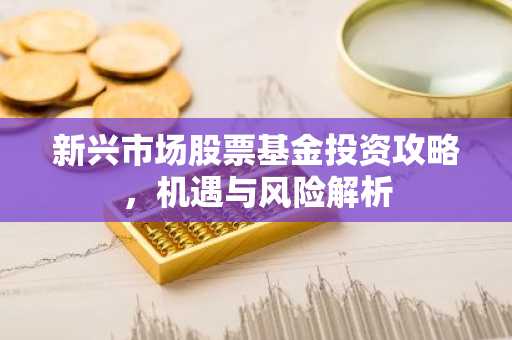 新兴市场股票基金投资攻略，机遇与风险解析