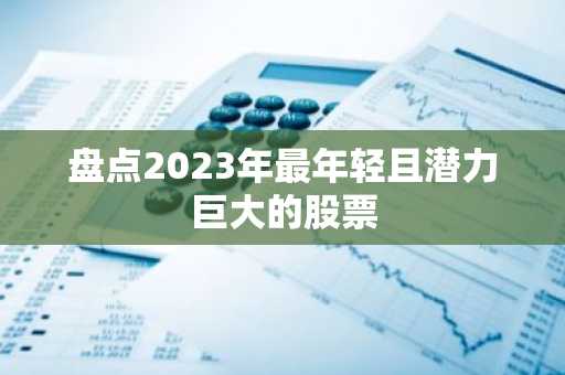 盘点2023年最年轻且潜力巨大的股票