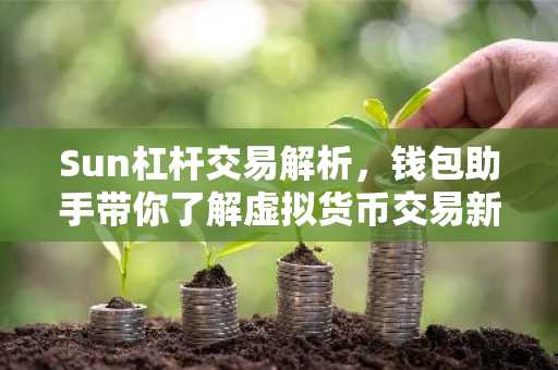 Sun杠杆交易解析，钱包助手带你了解虚拟货币交易新玩法