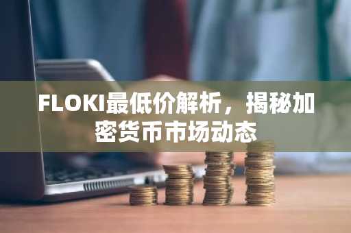 FLOKI最低价解析,揭秘加密货币市场动态