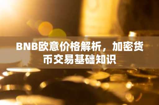BNB欧意价格解析，加密货币交易基础知识