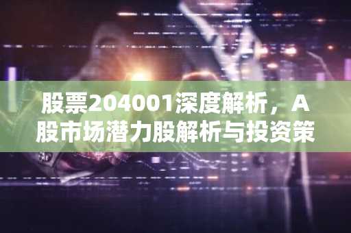 股票204001深度解析，A股市场潜力股解析与投资策略