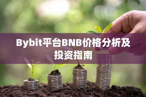 Bybit平台BNB价格分析及投资指南