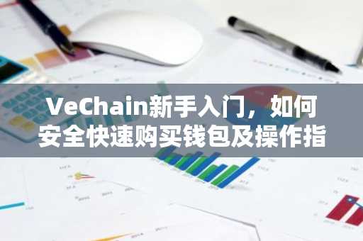 VeChain新手入门，如何安全快速购买钱包及操作指南