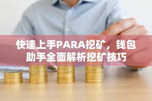 快速上手PARA挖矿，钱包助手全面解析挖矿技巧