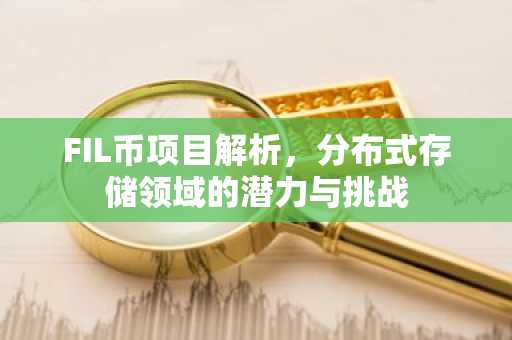 FIL币项目解析,分布式存储领域的潜力与挑战