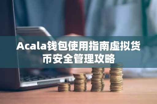Acala钱包使用指南虚拟货币安全管理攻略