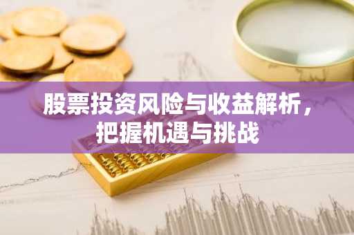 股票投资风险与收益解析，把握机遇与挑战