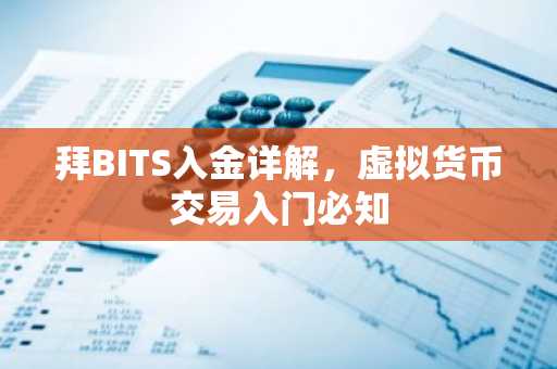 拜BITS入金详解，虚拟货币交易入门必知