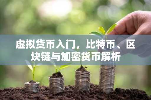 虚拟货币入门，比特币、区块链与加密货币解析