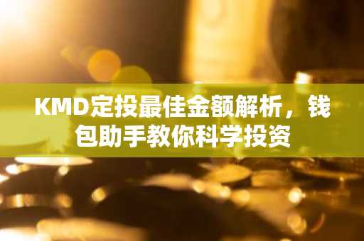 KMD定投最佳金额解析，钱包助手教你科学投资