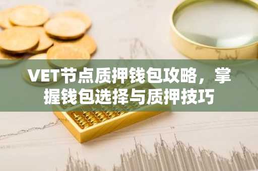 VET节点质押钱包攻略，掌握钱包选择与质押技巧