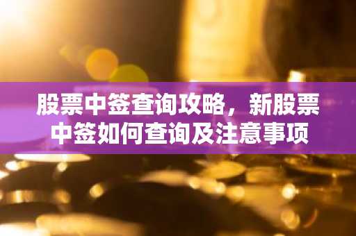 股票中签查询攻略，新股票中签如何查询及注意事项