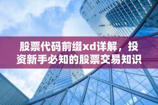 股票代码前缀xd详解，投资新手必知的股票交易知识