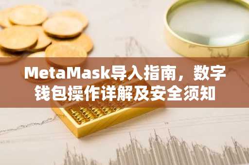 MetaMask导入指南，数字钱包操作详解及安全须知