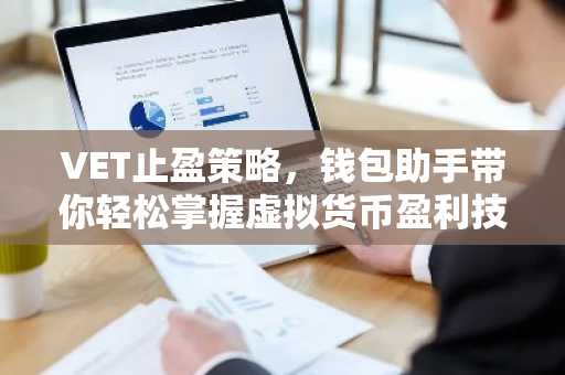 VET止盈策略，钱包助手带你轻松掌握虚拟货币盈利技巧