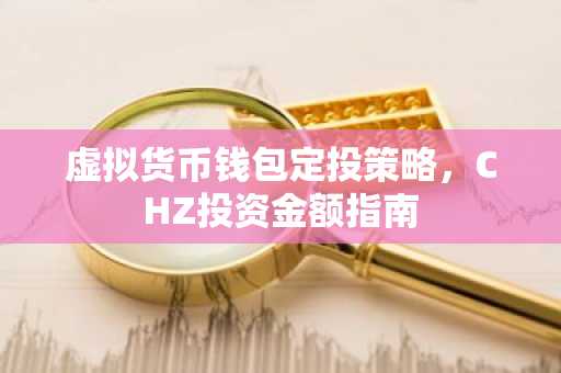 虚拟货币钱包定投策略，CHZ投资金额指南