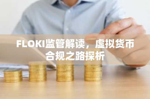 FLOKI监管解读，虚拟货币合规之路探析