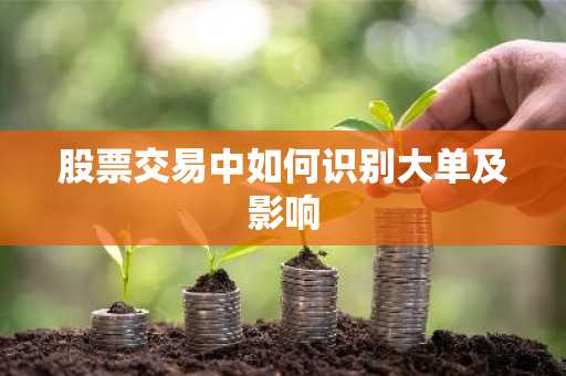 股票交易中如何识别大单及影响