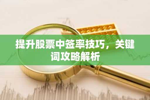 提升股票中签率技巧，关键词攻略解析