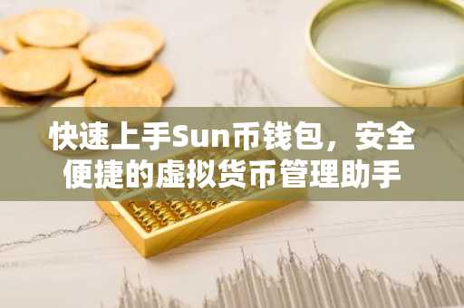 快速上手Sun币钱包，安全便捷的虚拟货币管理助手