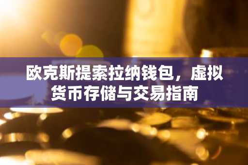 欧克斯提索拉纳钱包，虚拟货币存储与交易指南