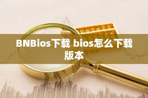 BNBios下载 bios怎么下载版本