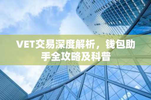 VET交易深度解析，钱包助手全攻略及科普